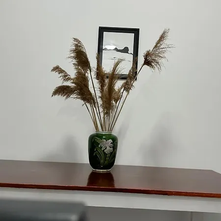 Hostel Belgrade Airport Single Bed