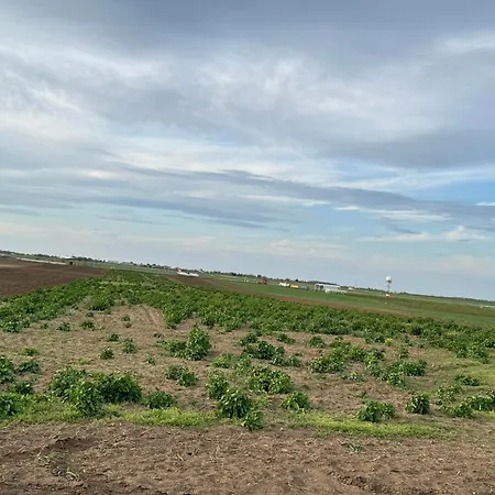 Belgrade Airport Single Bed *