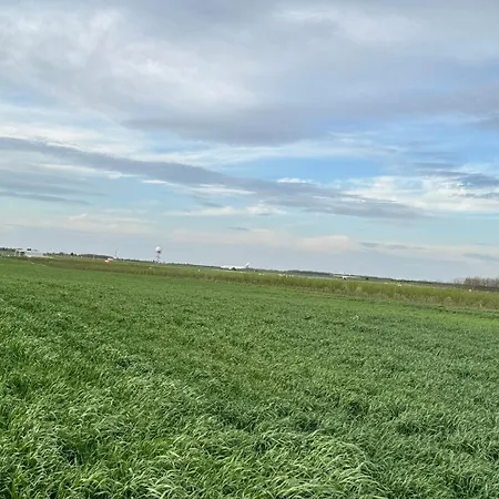 Belgrade Airport Single Bed Hostel Surčin